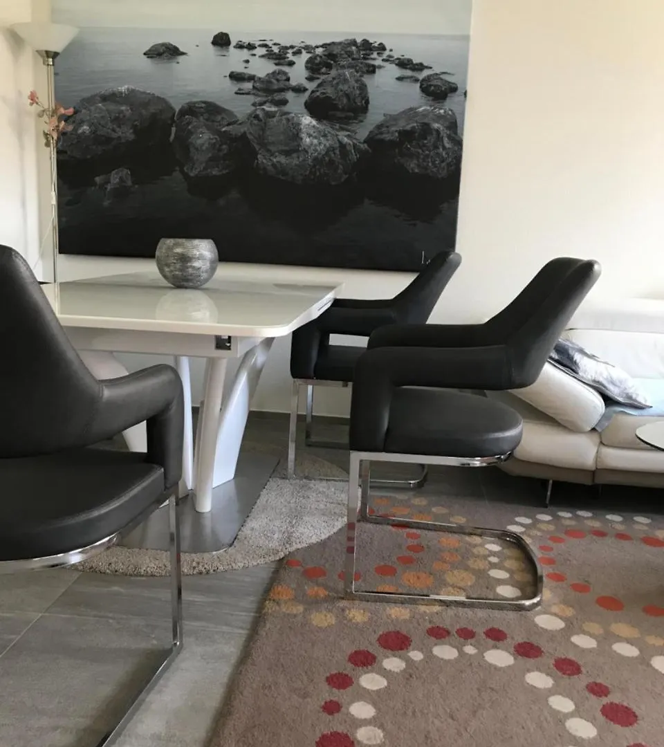 Rhein Promenade Apartment Basel